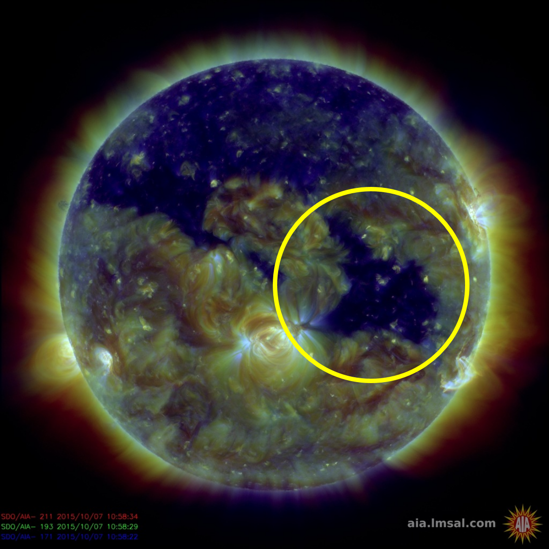 Image of the Sun from the Solar Dynamic Observatory showing the Coronal hole (SDO/NASA)