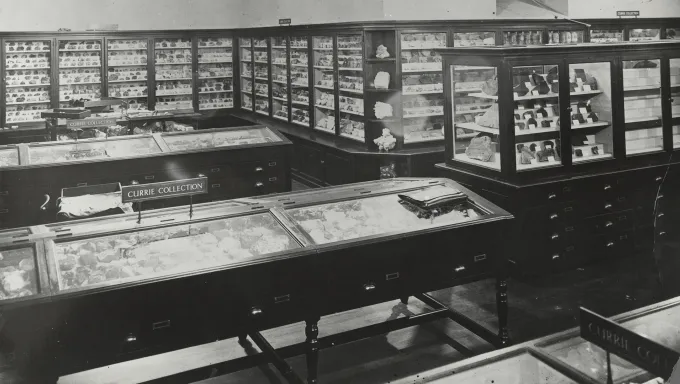 Grant Institute of Geology, the Geology Museum